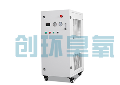 徐州石斑鱼养殖水质调控完整指南:臭氧发生器配置与操作步骤