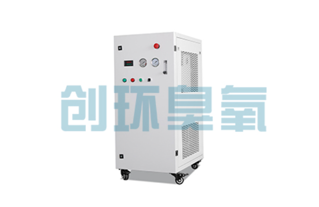 徐州比传统换水更高效?臭氧发生器在石斑鱼养殖中的水质净化原理解析