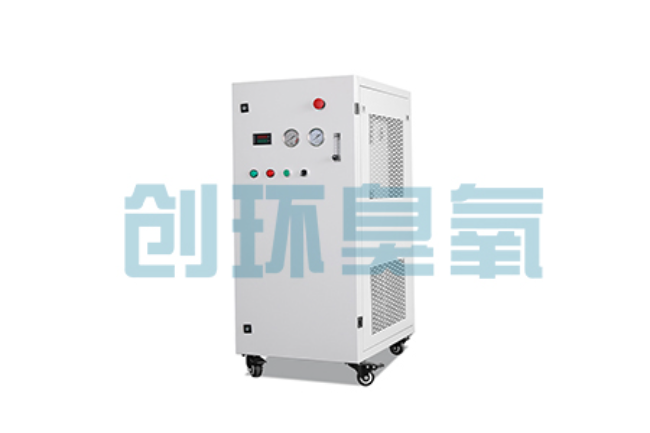 徐州比传统换水更高效?臭氧发生器在石斑鱼养殖中的水质净化原理解析
